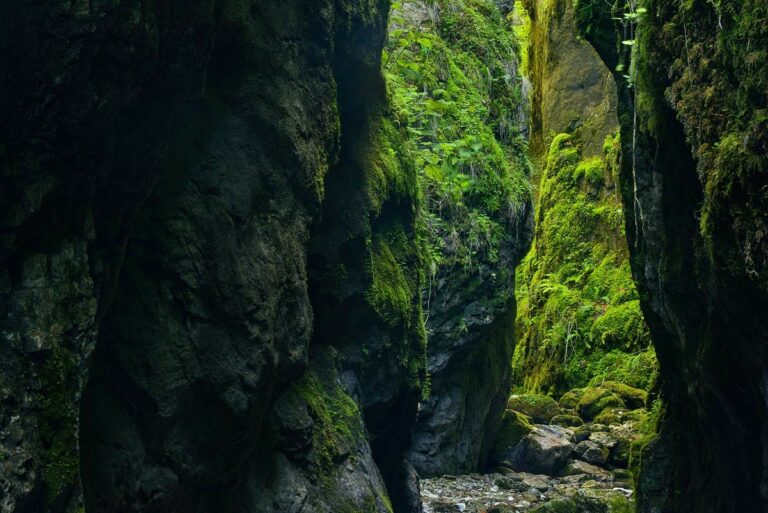 Pisoaia Waterfall Cascades in the Forest