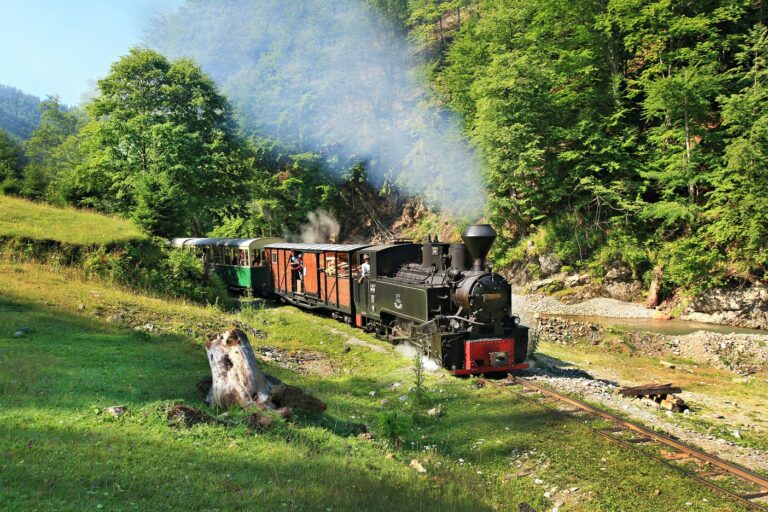 Narrow-Gauge Vintage Steam Train Track Expedition
