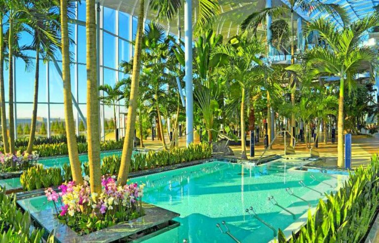 Subtropical Palm Tree Forest Botanical Garden Inside