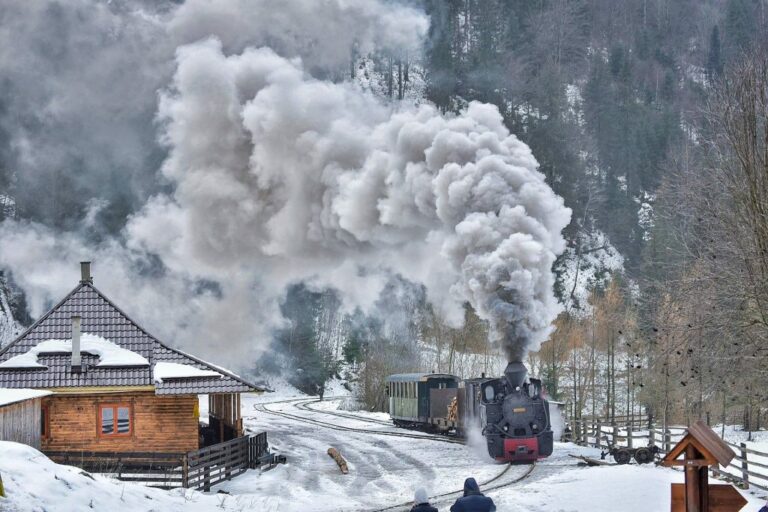 Mocănița Steam Train Carving Through Vaser Valley Wilderness