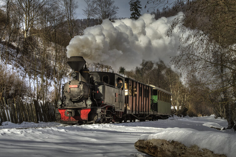 Viseu de Sus Steam Train Station