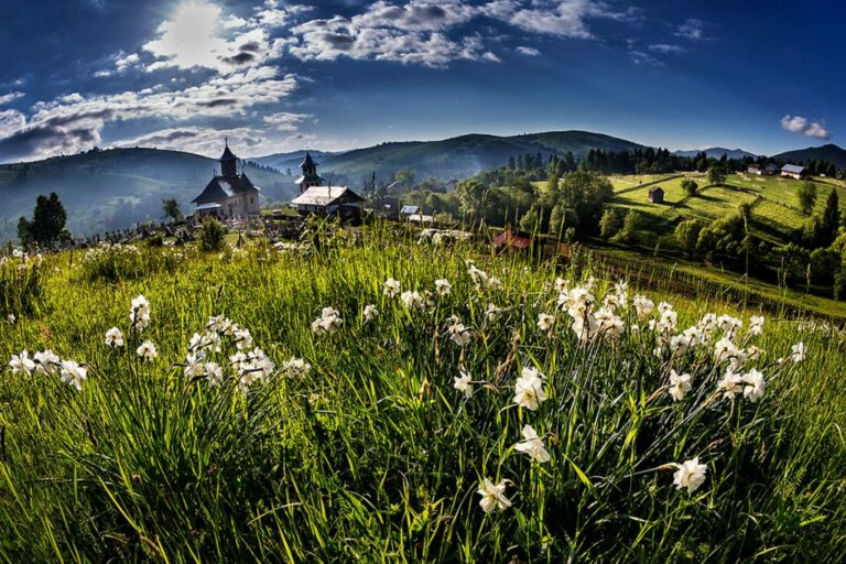 Carpathian Wilderness