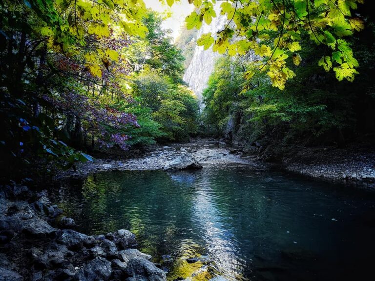 Group Trekking Through River Paths