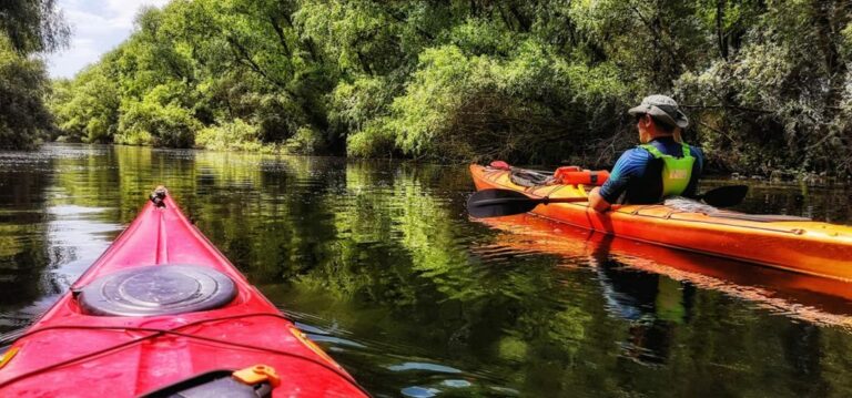 Kayakers exploring open coastal water horizons