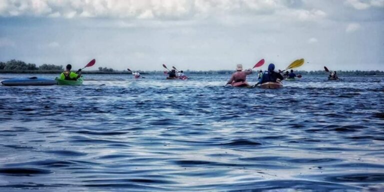 Kayaking team paddling past dense green reedy passages
