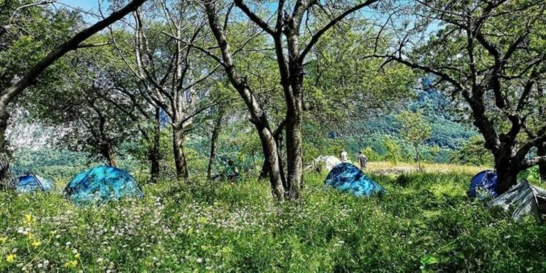 Archaic High Mountain Settlement Meadow