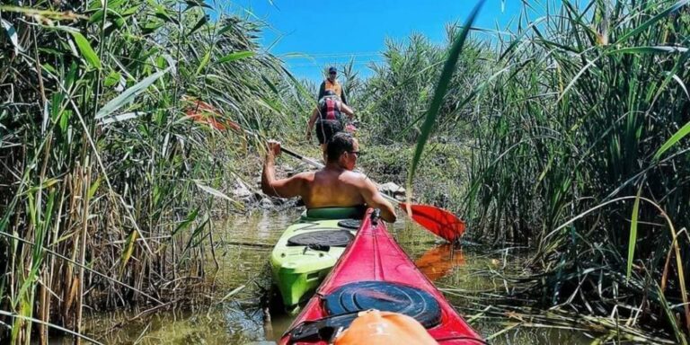Panoramic scenic view of water safari expedition fleets