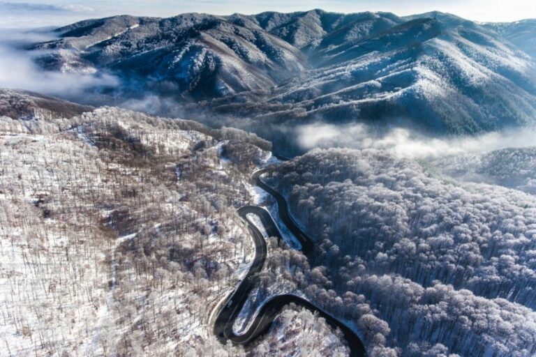 Sighisoara Walled Citadel Winter Horizon