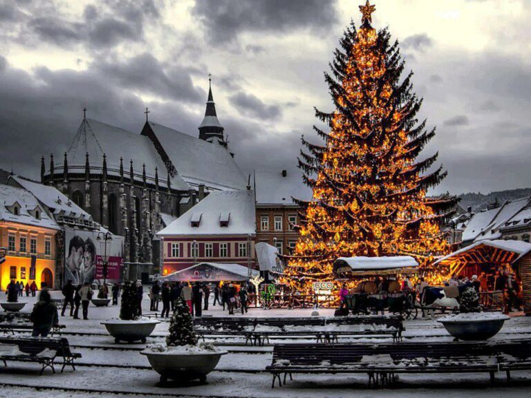 Brasov Christmas Market Giant Tree