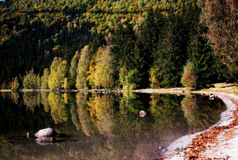 Danube Gorges Majestic Waterway Landscape