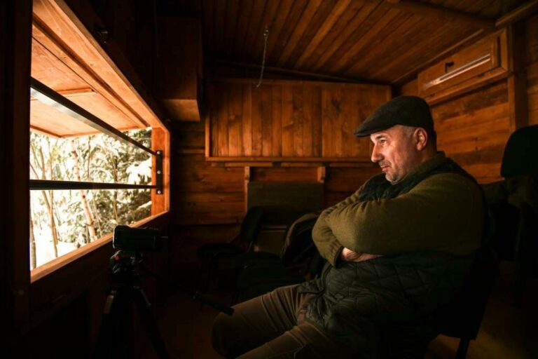 Bears coexisting safely in five star welfare facility
