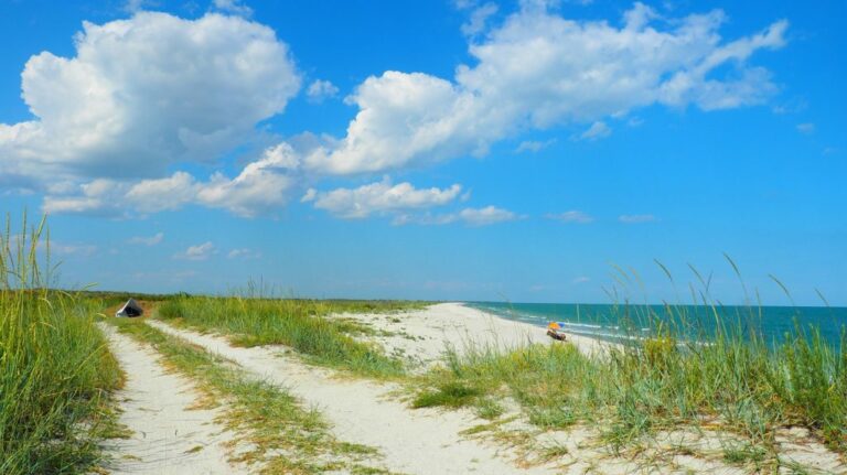 Vadu Wild Beach Infinite Sand and Waves