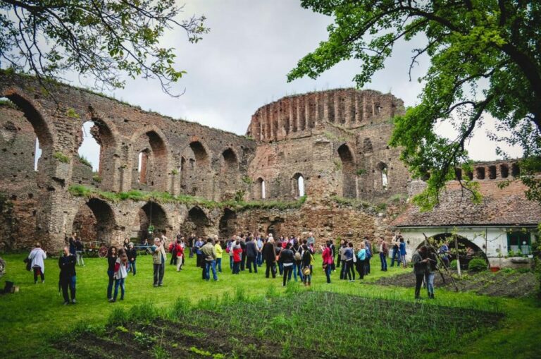 Slimnic Medieval Ruins Panoramas