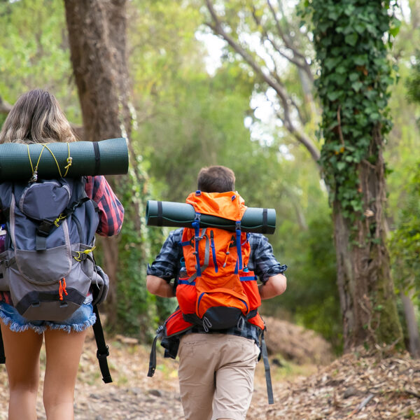 Back view of backpackers walking on mountainous trail. Caucasian hikers or traveler carrying backpacks and hiking in forest together. Backpacking tourism, adventure and summer vacation concept