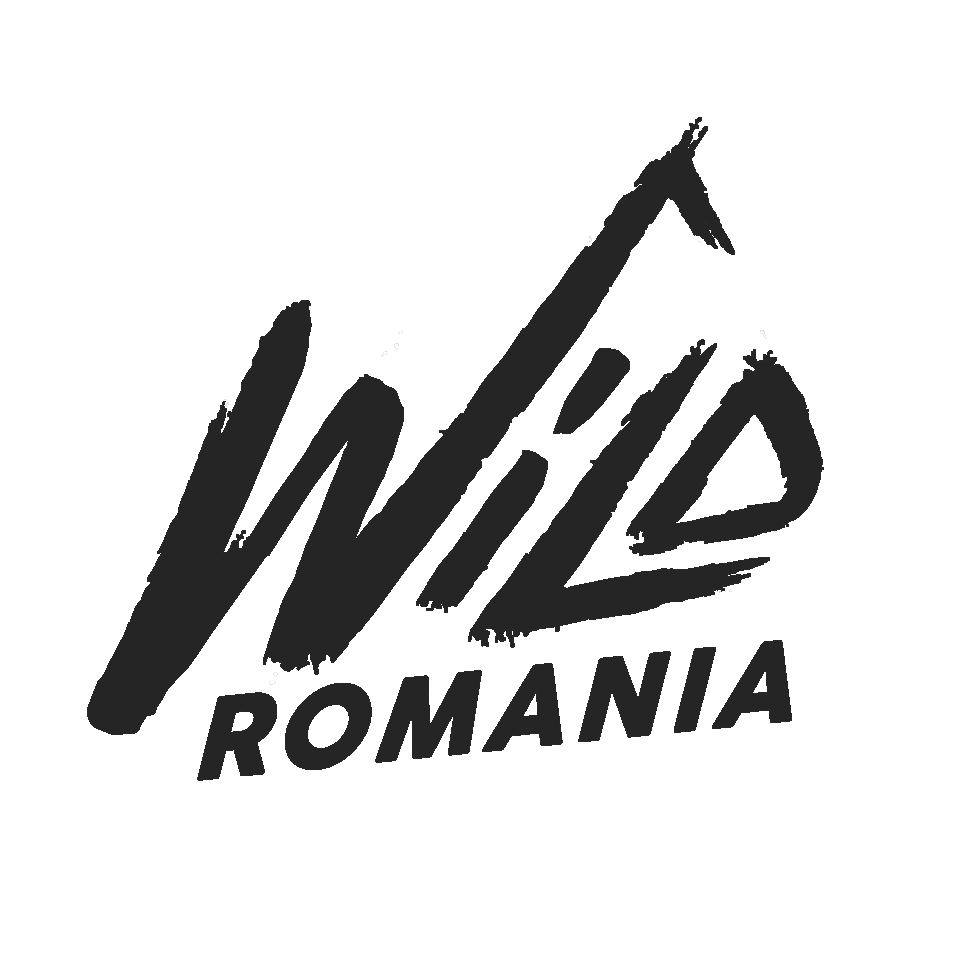 Wild Romania - Incoming Travel Agency